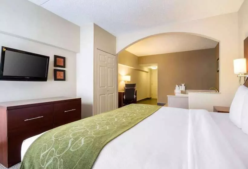ホテル Comfort Suites At Woodbridge