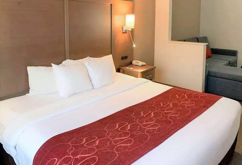 Hotelli Comfort Suites Bush Intercontinental Airport