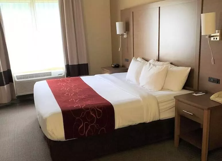 Hotelli Comfort Suites Bush Intercontinental Airport