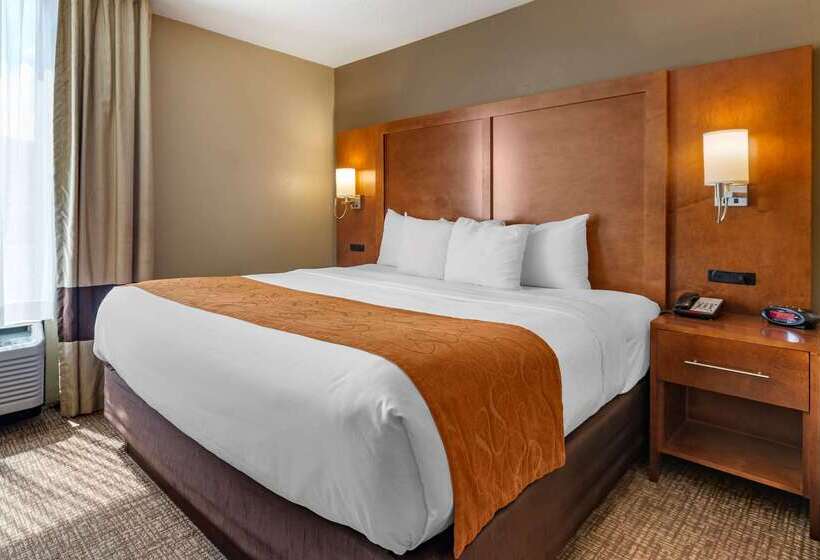 Szálloda Comfort Suites Bethlehem Near Lehigh University And Lvi Airport