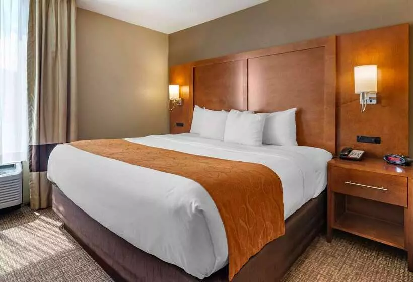 Отель Comfort Suites Bethlehem Near Lehigh University And Lvi Airport
