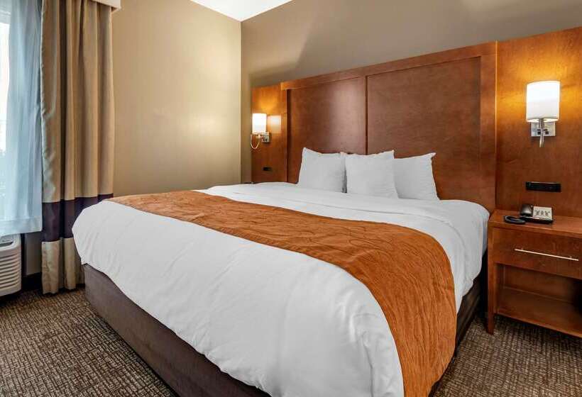 Szálloda Comfort Suites Bethlehem Near Lehigh University And Lvi Airport