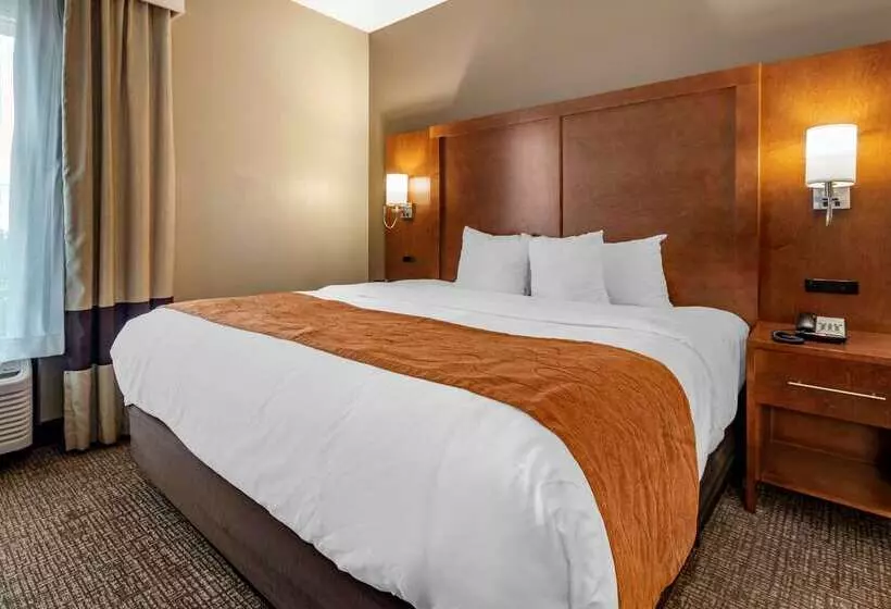 Отель Comfort Suites Bethlehem Near Lehigh University And Lvi Airport