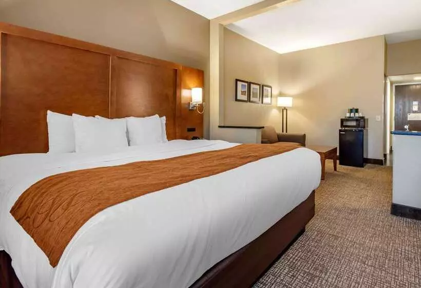 هتل Comfort Suites Bethlehem Near Lehigh University And Lvi Airport