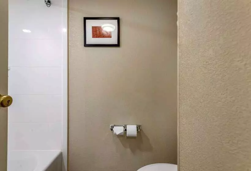 Отель Comfort Suites Bethlehem Near Lehigh University And Lvi Airport