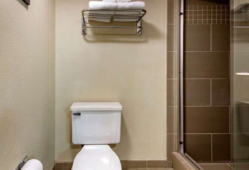 Szálloda Comfort Suites Bethlehem Near Lehigh University And Lvi Airport