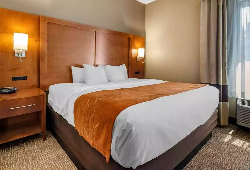 هتل Comfort Suites Bethlehem Near Lehigh University And Lvi Airport