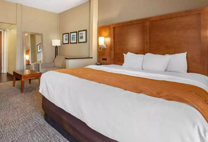 Отель Comfort Suites Bethlehem Near Lehigh University And Lvi Airport