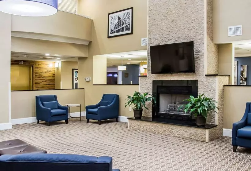 酒店 Comfort Suites University  Research Park