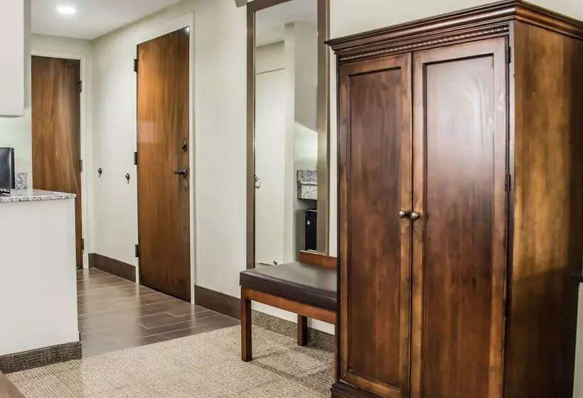 酒店 Comfort Suites University  Research Park