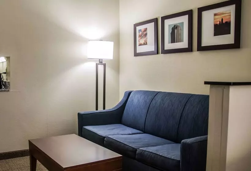 酒店 Comfort Suites University  Research Park