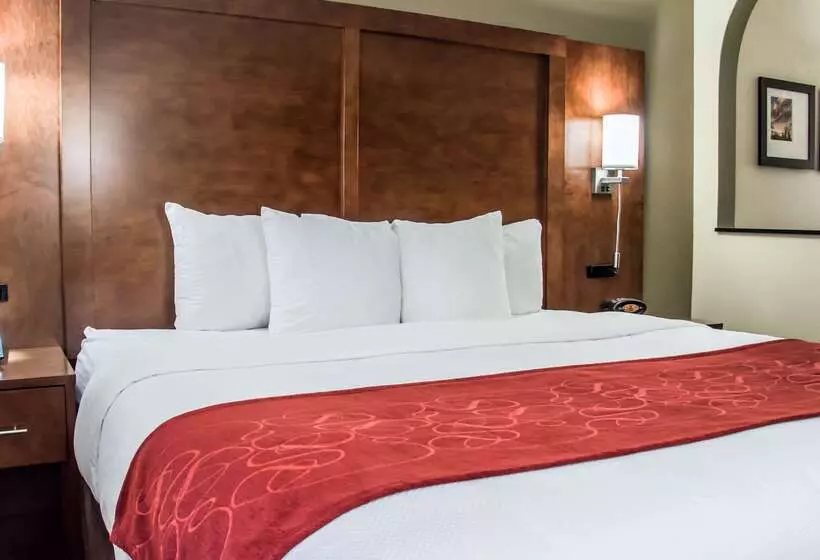 酒店 Comfort Suites University  Research Park