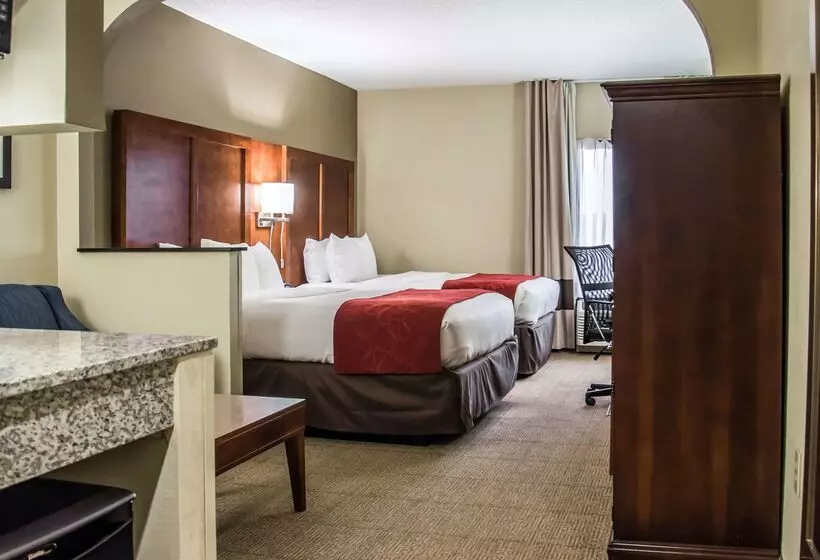 酒店 Comfort Suites University  Research Park