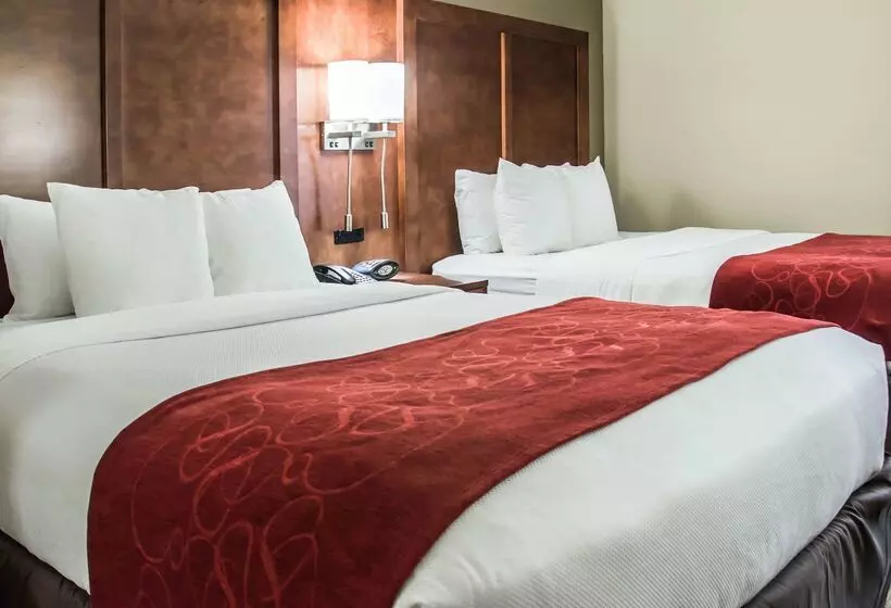 酒店 Comfort Suites University  Research Park