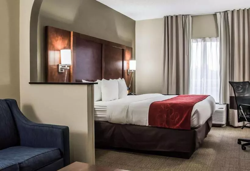 酒店 Comfort Suites University  Research Park
