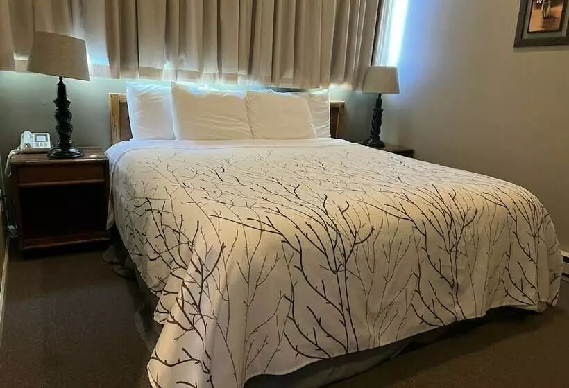 Отель Continental Inn