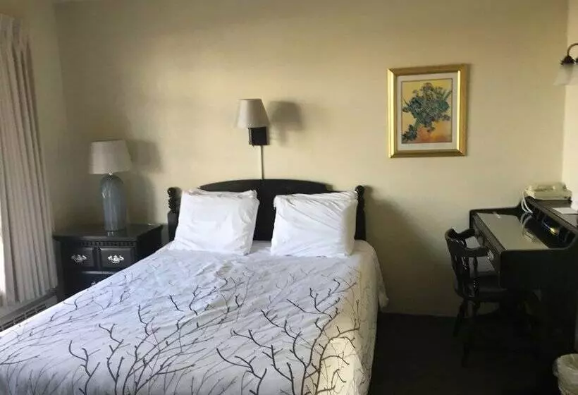 Отель Continental Inn