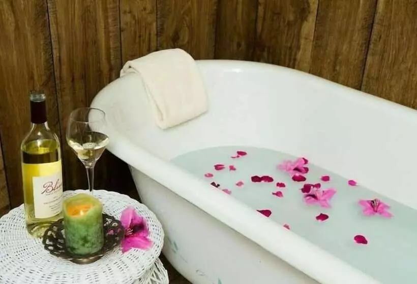 酒店 Country Inn Bed And Breakfast