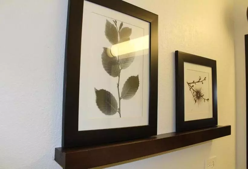 Отель Country Inn & Suites By Radisson, Romeoville, Il