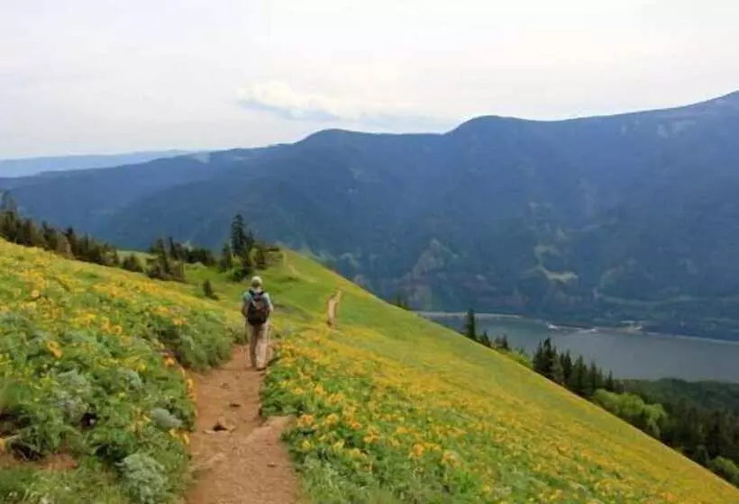 Hotelli Holiday Inn Express & Suites Hood River, An Ihg