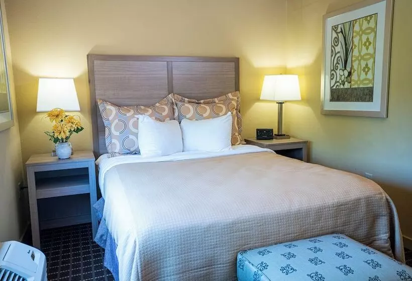 ホテル Patriots Inn