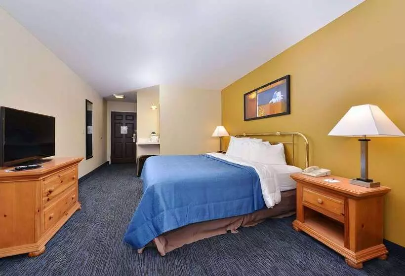 Отель Quality Inn & Suites