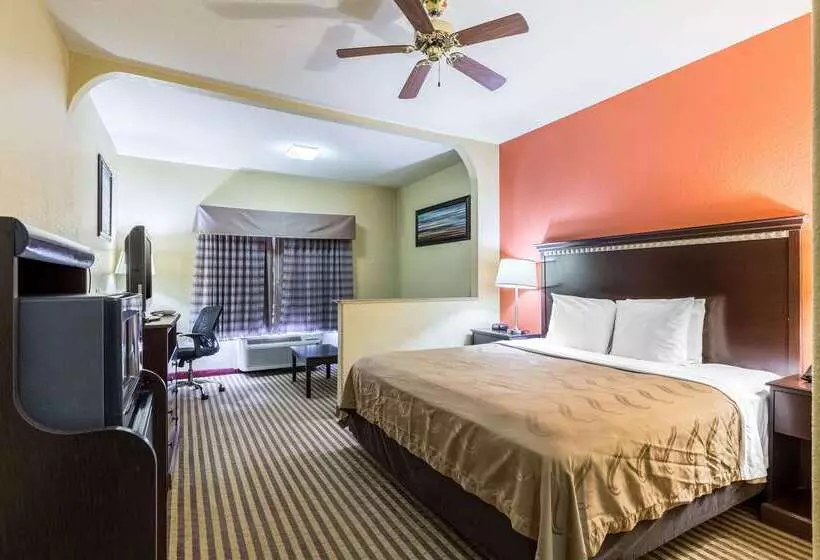 ホテル Quality Suites North