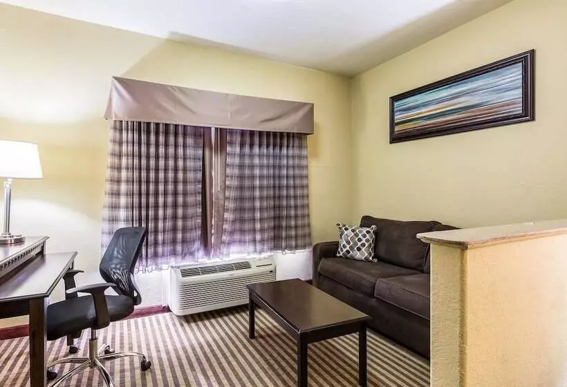 ホテル Quality Suites North