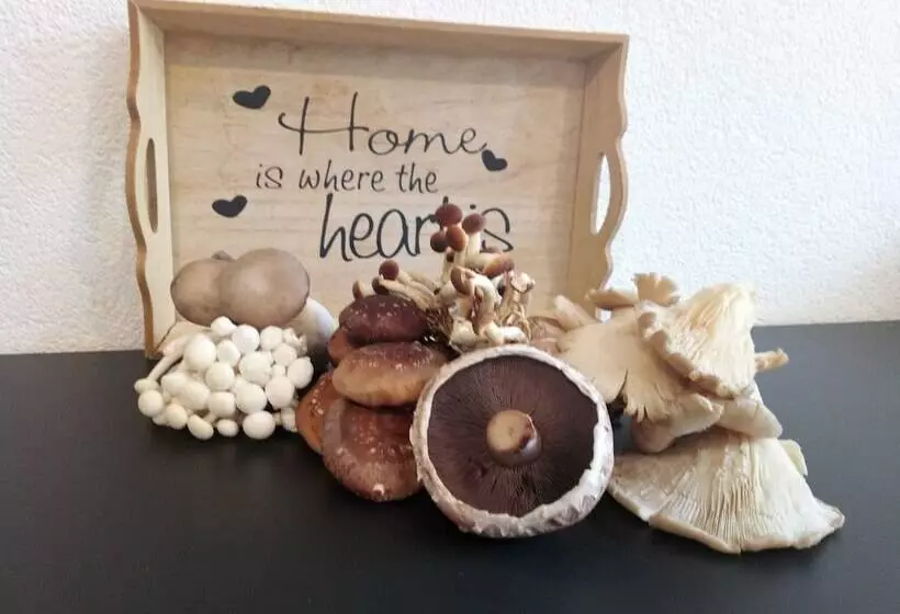 Hotelli La Belle Croix