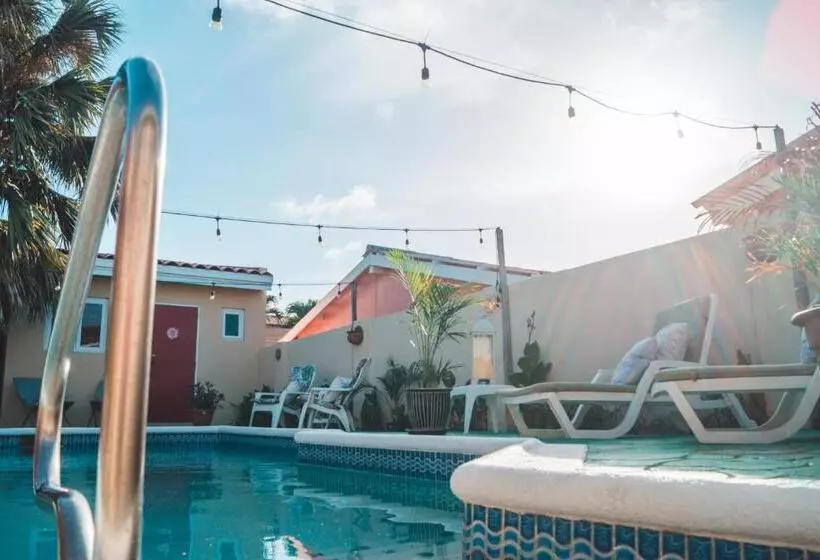 پانسیون Courtesy Apartments Aruba