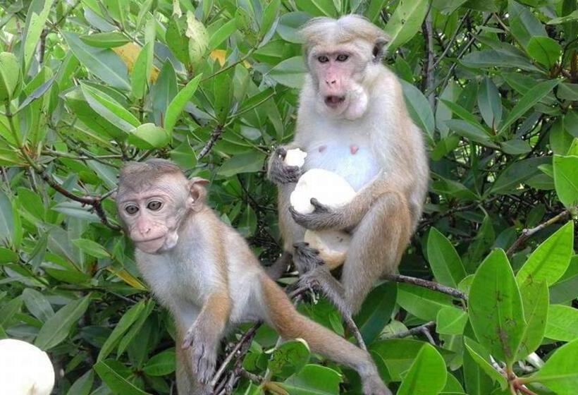 ベッドアンドブレックファースト Air Port 5 Minutes Super Clean Upul