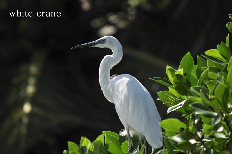 ベッドアンドブレックファースト Air Port 5 Minutes Super Clean Upul