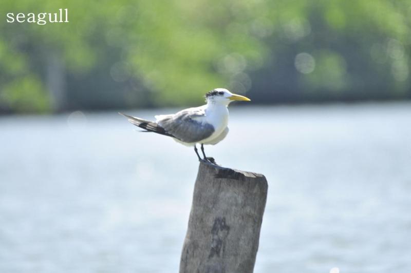 ベッドアンドブレックファースト Air Port 5 Minutes Super Clean Upul