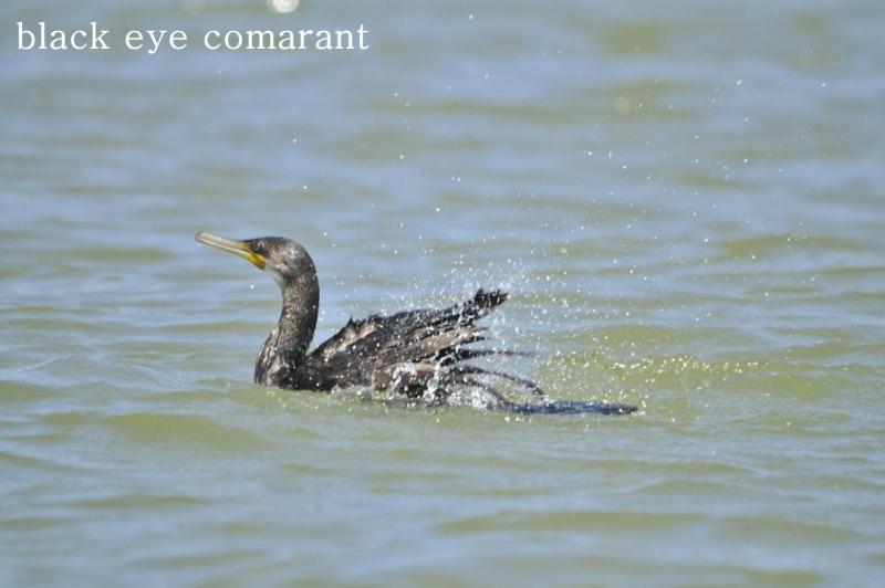 ベッドアンドブレックファースト Air Port 5 Minutes Super Clean Upul