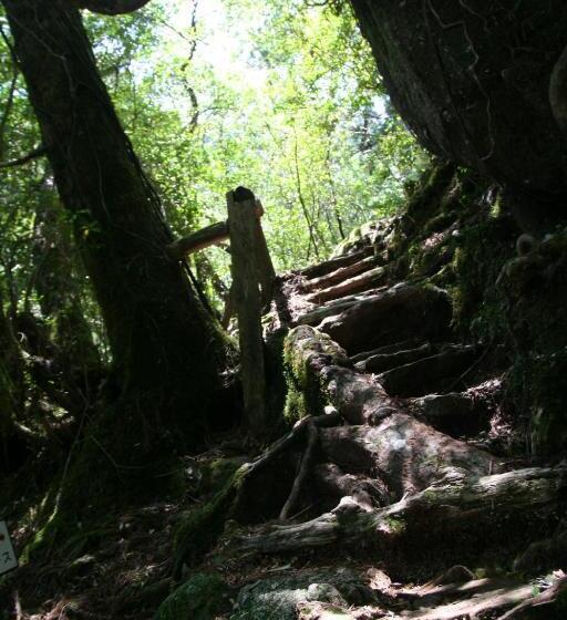 بنسيون Yakunoyado Taguchi