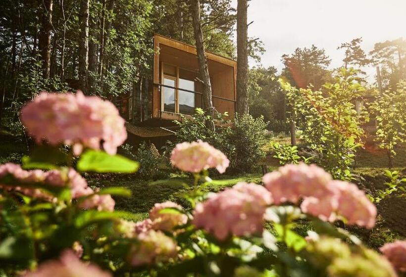 تختخواب و صبحانه Theodosius Forest Village   Glamping In Vipava Valley