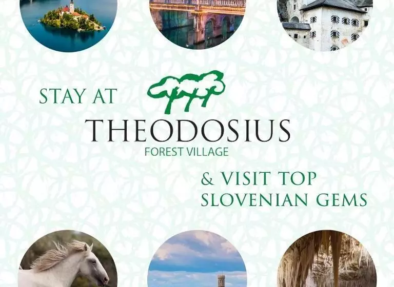 تختخواب و صبحانه Theodosius Forest Village   Glamping In Vipava Valley