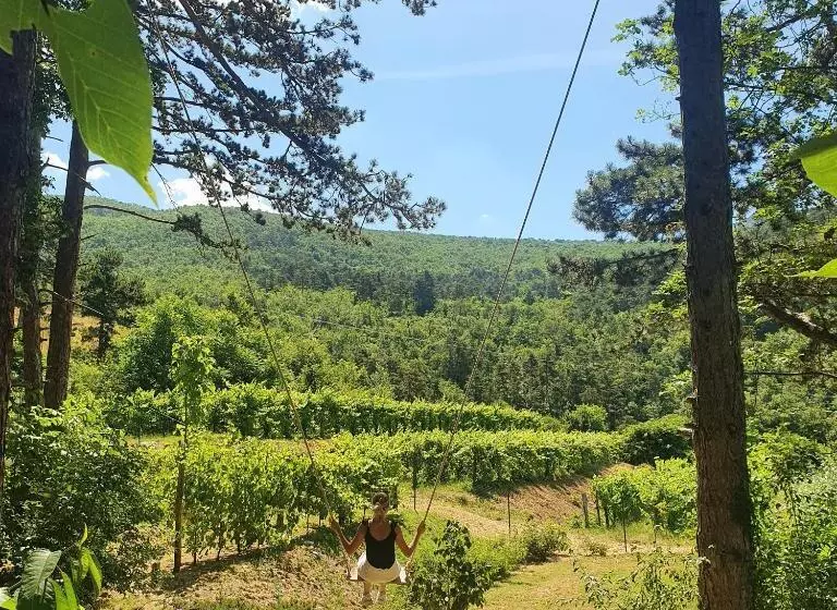 تختخواب و صبحانه Theodosius Forest Village   Glamping In Vipava Valley