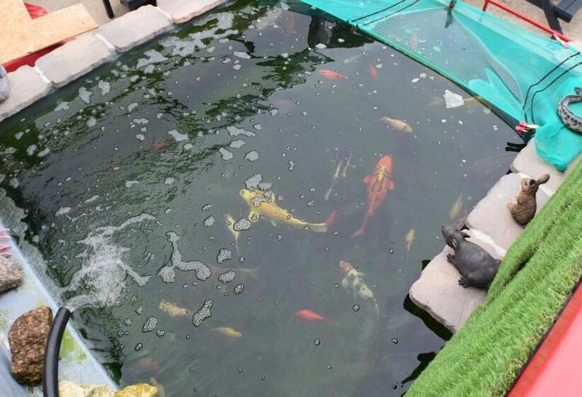 Bed and Breakfast Seashells Beach