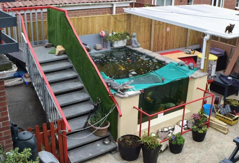 Bed and Breakfast Seashells Beach