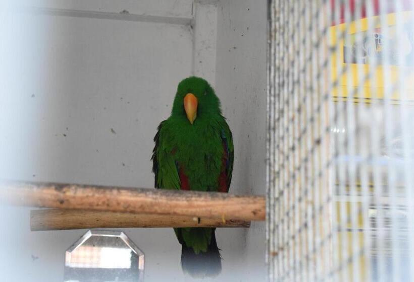 Bed and Breakfast Seashells Beach