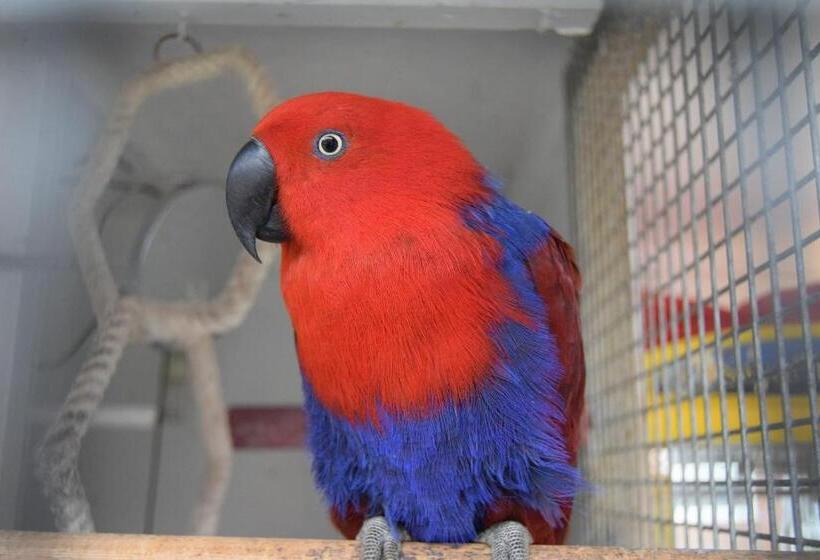 Bed and Breakfast Seashells Beach