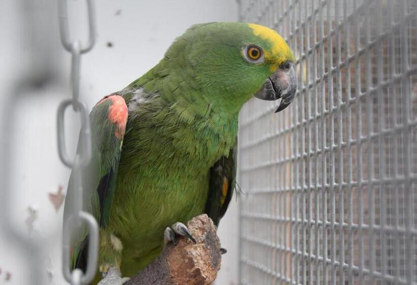 Bed and Breakfast Seashells Beach