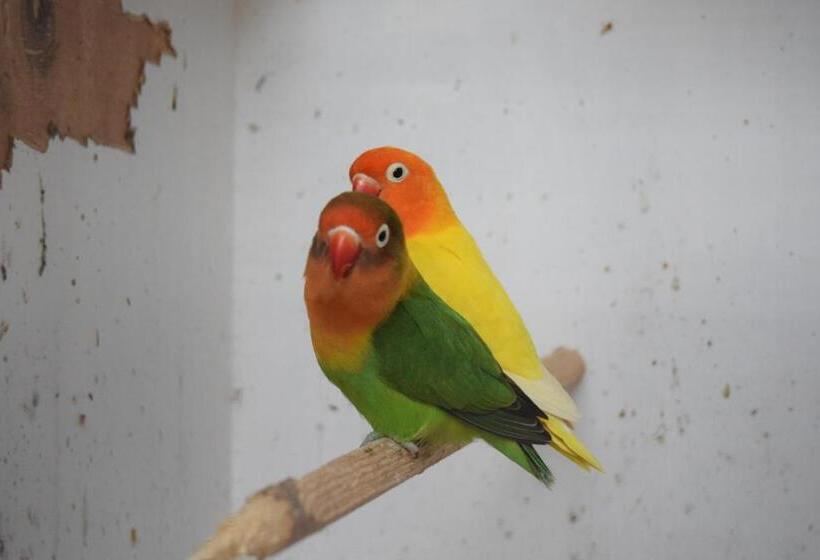 Bed and Breakfast Seashells Beach