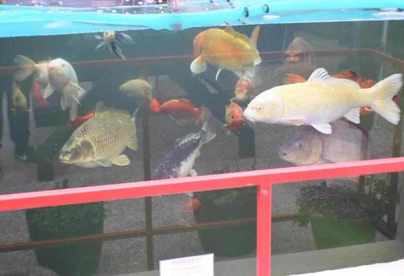 Bed and Breakfast Seashells Beach