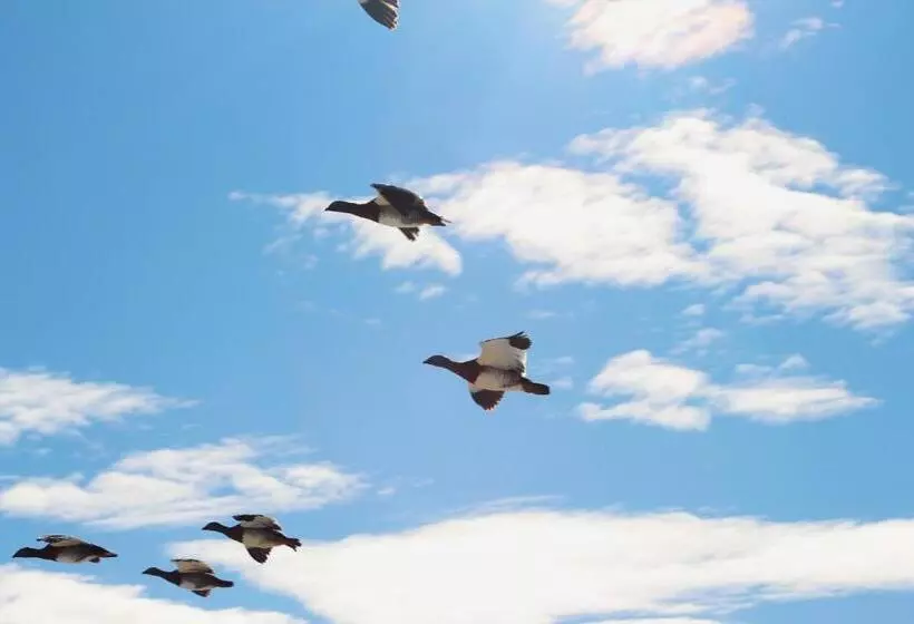 Retkeilymaja La Pilarica River & Mountain Lodge