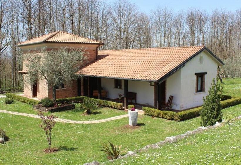 Отель Agriturismo Il Castagneto