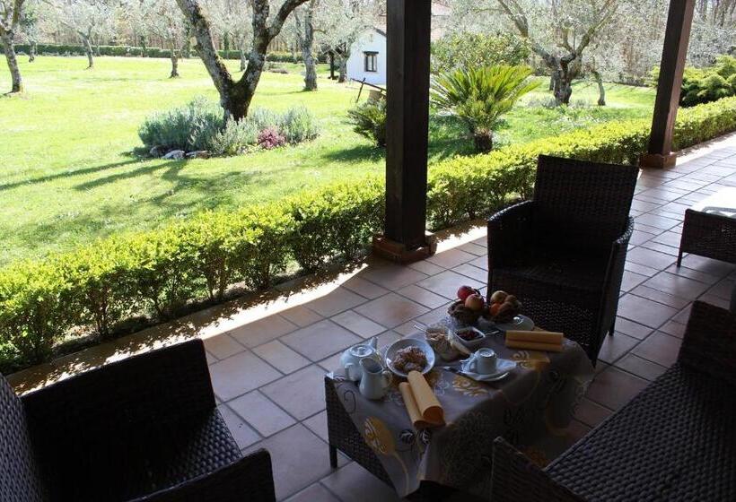 Отель Agriturismo Il Castagneto