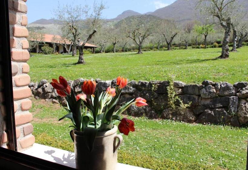 Отель Agriturismo Il Castagneto