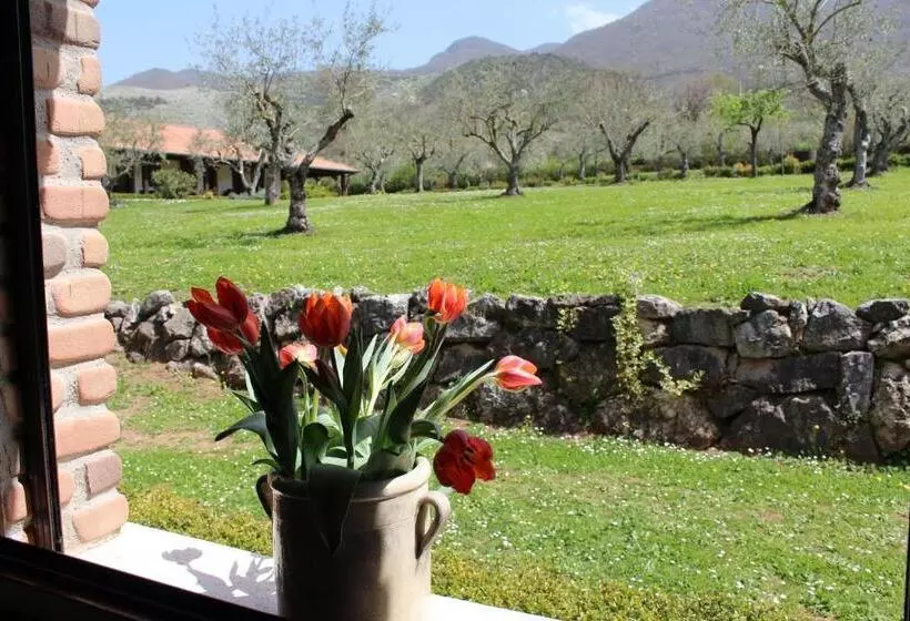 ホテル Agriturismo Il Castagneto